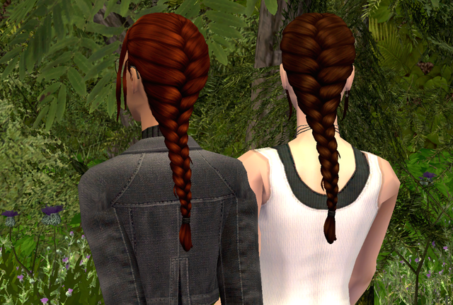 Single Braid back preview.png