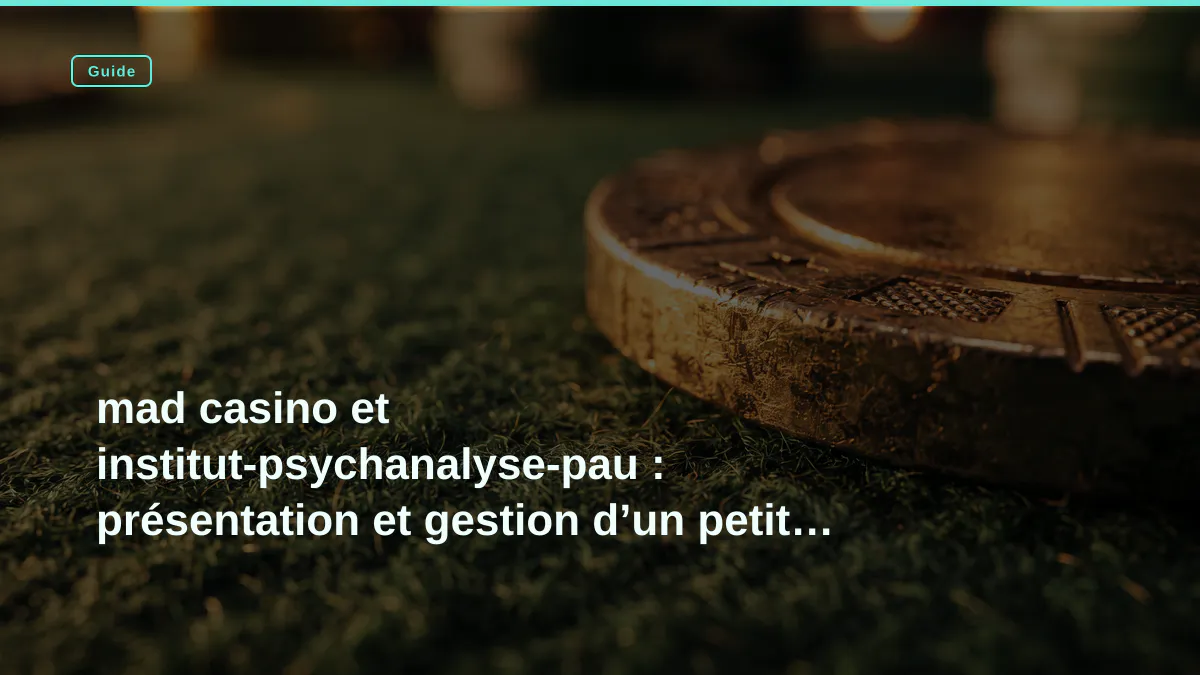 mad casino et institut-psychanalyse-pau : présentation et gestion d’un petit budget