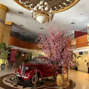 Golden View Hotel4