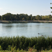 IMG 7889