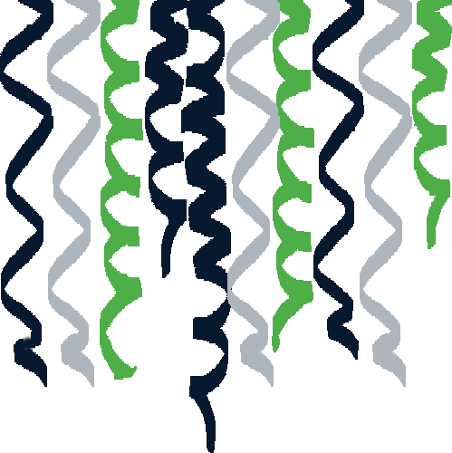 seahawks streamers.png