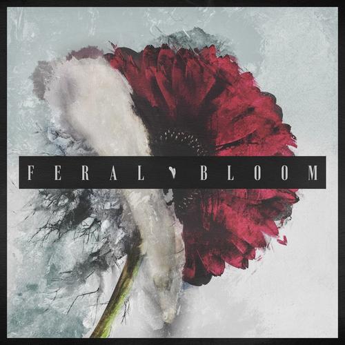 Blacktoothed - Porcelain (Single) (2026)