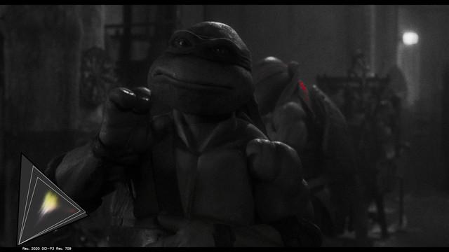 TMNT 142 G