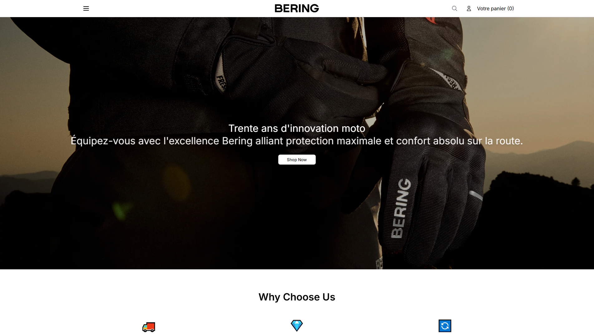 Stored capture of beringglobal.shop