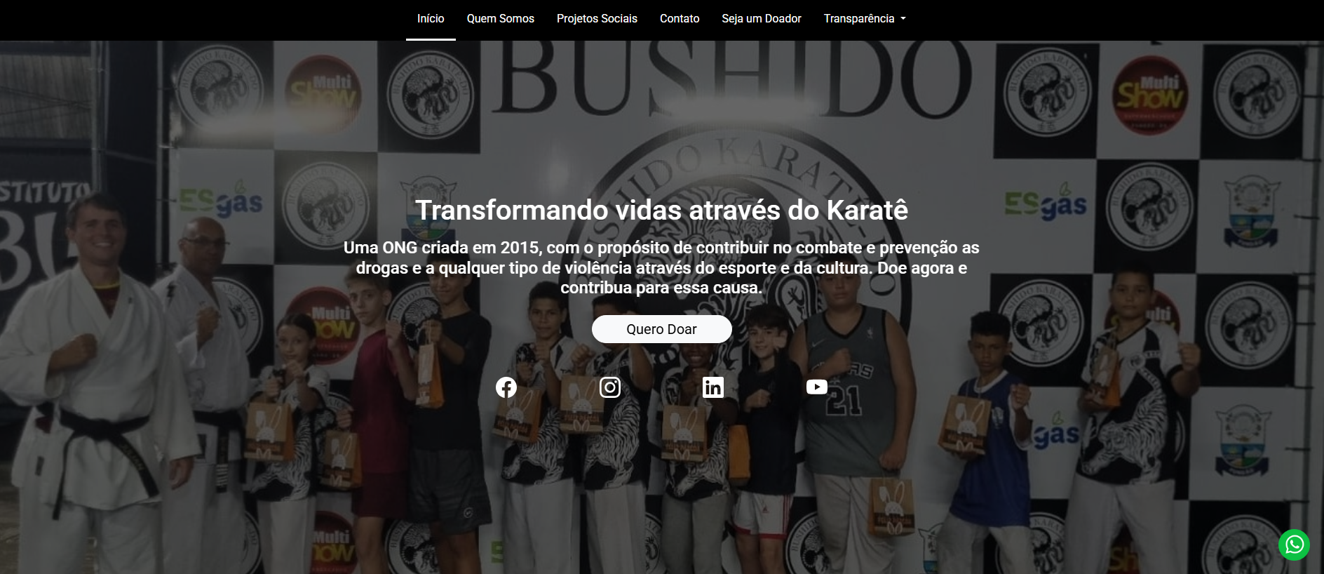Stored capture of institutobushido.org.br