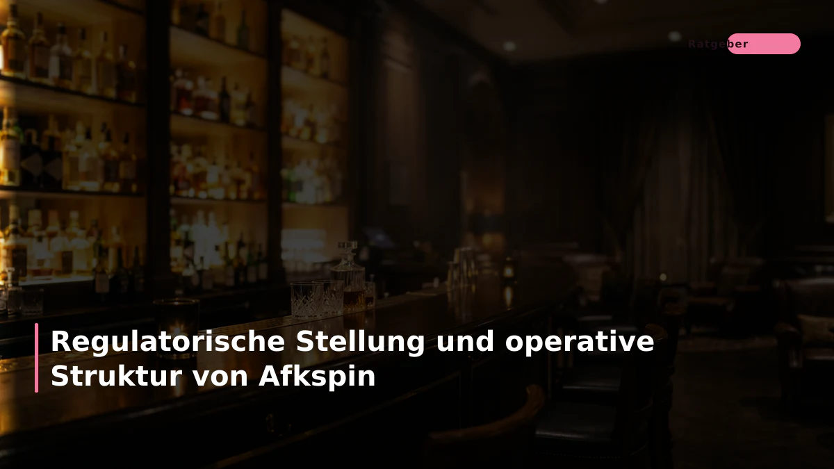 Regulatorische Stellung und operative Struktur von Afkspin