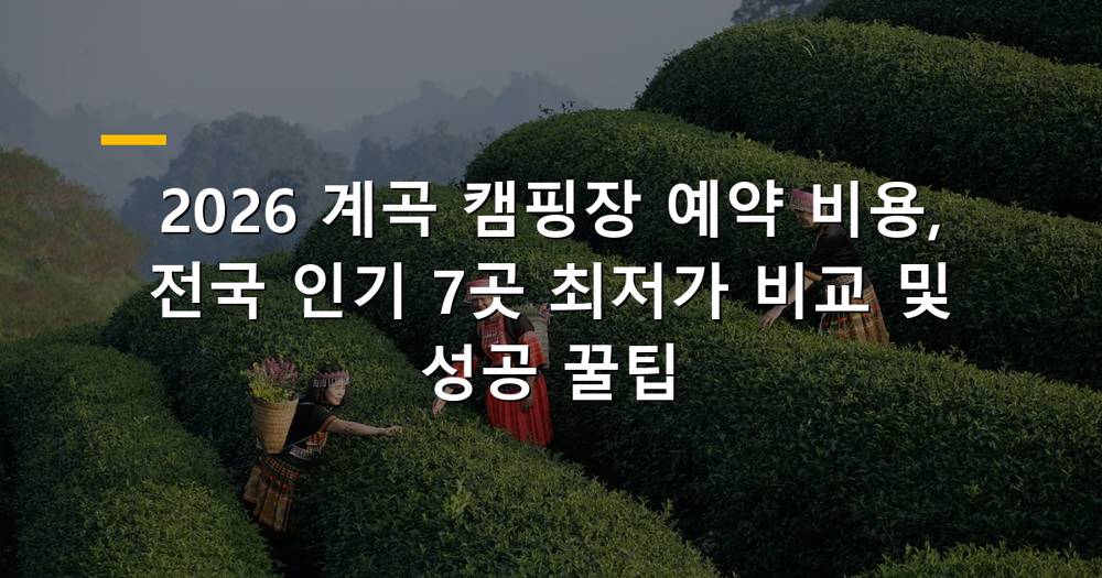 시원한 계곡 옆 캠핑장 전경