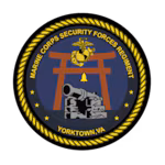 Marine Security Forces.avif