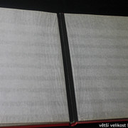 IMG-3375