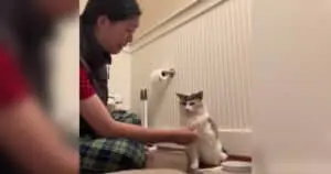 Cat Performs Final Trick for Devoted Owner
