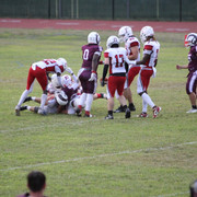IMG-2987