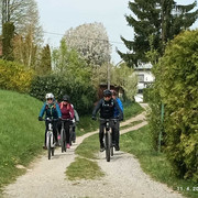 IMG 2454
