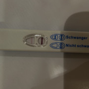 IMG-9383.jpg
