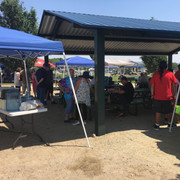 Picnic2018 (10)