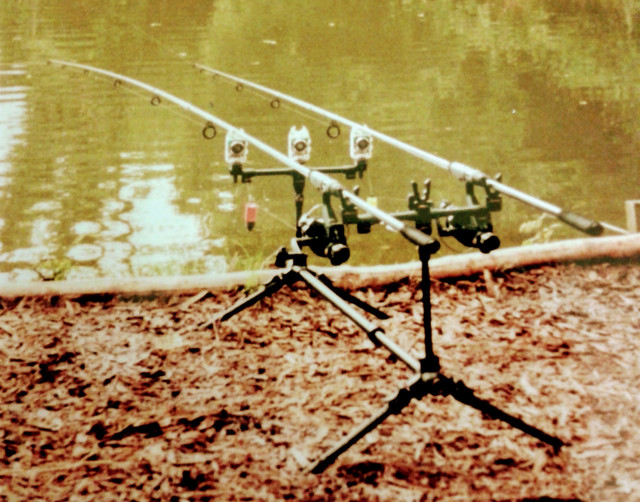 Bi-Tech-s