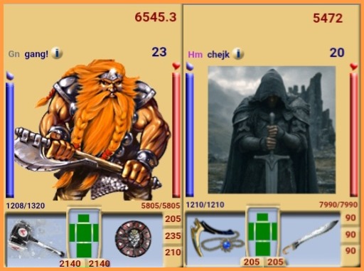 image (13)