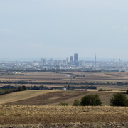 IMG 2731
