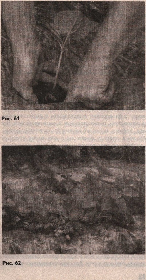 79