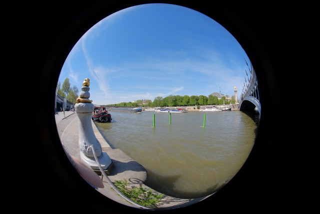 DSCF9248.jpg
