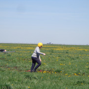 DSC00296