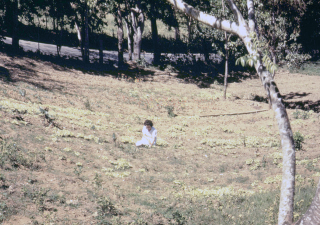 1a33973u
