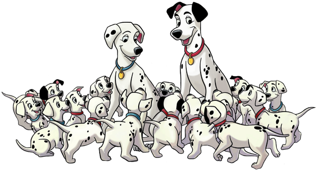 dalmata52.png