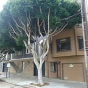 P1090462