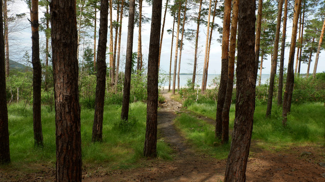 DSCF2813.jpg