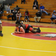 IMG-0799