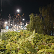 2012-01-03-10