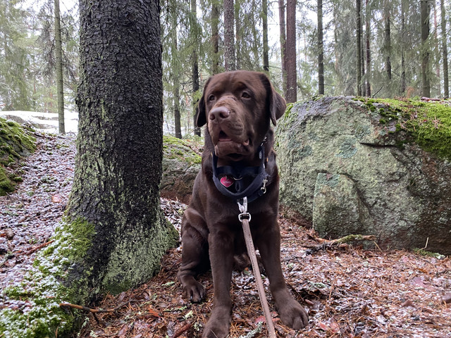 48-C06-F6-F-6-C0-E-435-A-B09-A-A96-D31-D