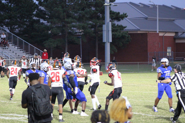 IMG-0419
