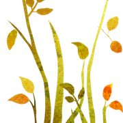 Stems1