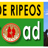 bannerrenoveripeo