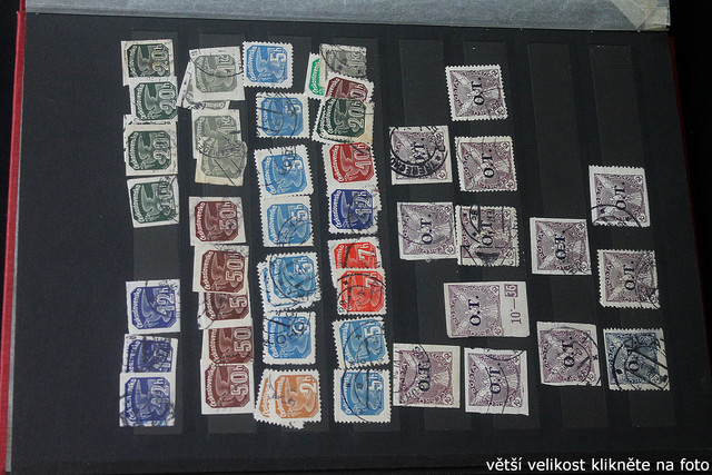 IMG-3567.jpg