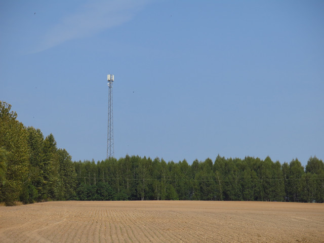 IMG-4648