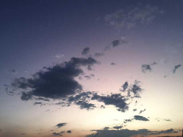 IMG-3454