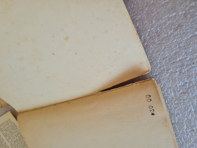 20250403-104544.jpg