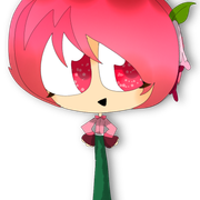 Bhagede(Fuchsia)