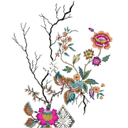 nohat-bg-removed-e4d3e1b5