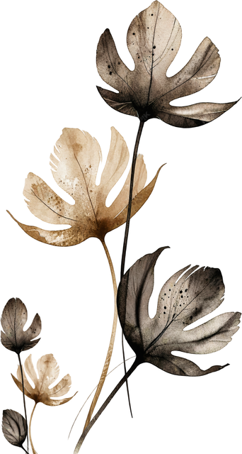 download (77).png