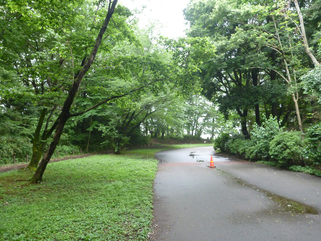 P1320016