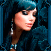 5.gif