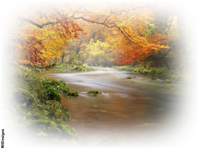 NHD-Mists-Arroyos-16