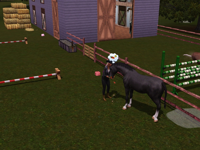 Screenshot-255