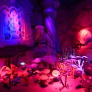 DSC00029