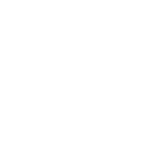 POLO WHITE 1.png