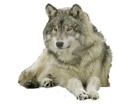 38a8c423.gif