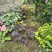 garden2
