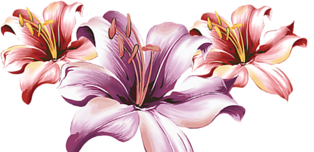 Layer 18 (7).png